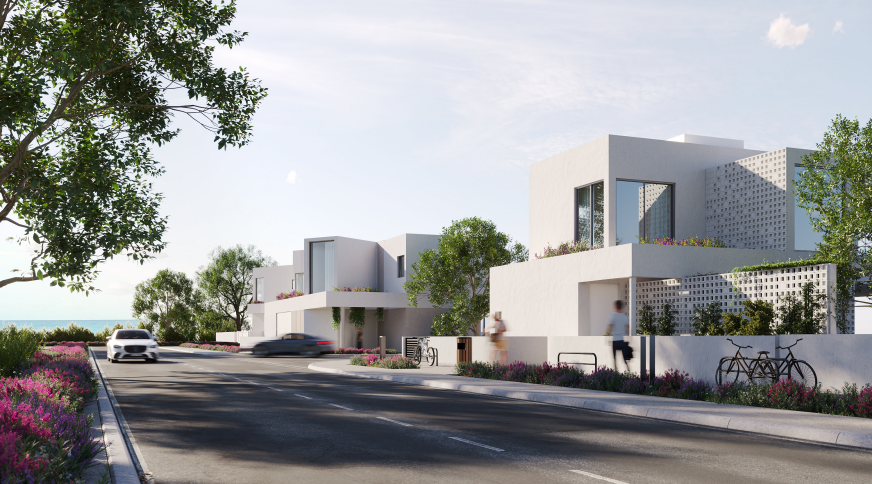 section catalog photo